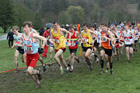 Intermediate boys 2019 New Balance English Schools Cross Country Champs, Temple Newsam, Leeds. Photo:  David T. Hewitson/Sports for All Pics
